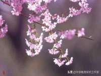 太原市小店区鼎盛科技行