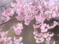太原市小店区鼎盛科技行