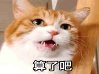 太原市小店区鼎盛科技行