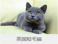 太原市小店区鼎盛科技行