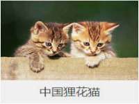 太原市小店区鼎盛科技行