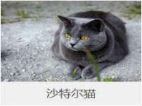 太原市小店区鼎盛科技行