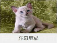 太原市小店区鼎盛科技行
