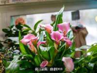 太原市小店区鼎盛科技行