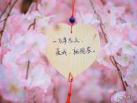 太原市小店区鼎盛科技行