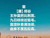太原市小店区鼎盛科技行