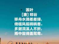 太原市小店区鼎盛科技行