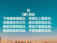 太原市小店区鼎盛科技行