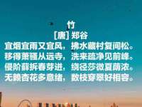 太原市小店区鼎盛科技行