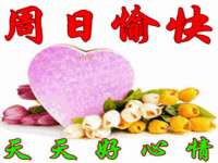 太原市小店区鼎盛科技行