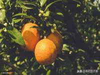太原市小店区鼎盛科技行