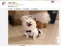 太原市小店区鼎盛科技行