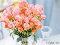 太原市小店区鼎盛科技行