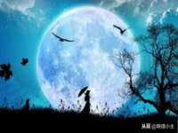 太原市小店区鼎盛科技行